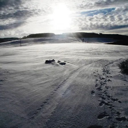 Wuellner's Landgasthof 3* Шмалленберг